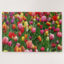 Search for watercolor puzzles Bright
