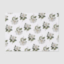 Search for magnolia tissue paper White flower