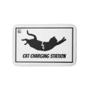 Search for cat furniture Cats