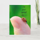 Search for ladybug birthday cards Happy