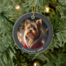 Search for yorkie ornaments Pets