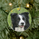 Search for black and white dog ornaments Pet