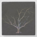 Search for two sided coasters Tree
