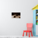 Search for acts of kindness gifts Aesop