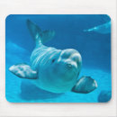 Search for aquarium gifts Cute