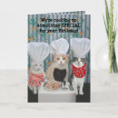 Search for funny chef birthday cards Cats