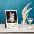 Search for cat memorial plaques Kitten