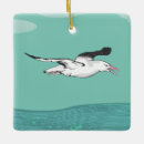 Search for new zealand ornaments Bird