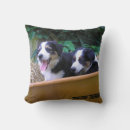 Search for australian shepherd pillows Herding dogs
