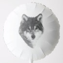 Search for wolf balloons Nature