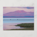 Search for sunrise postcards Pink