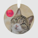 Search for tabby cat ornaments Animal