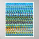Search for 3d illusion posters Illusions