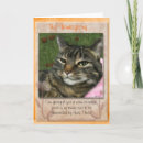 Search for cat thanksgiving cards Pet