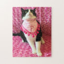 Search for tuxedo cat puzzles Kitty