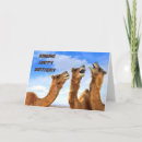 Search for camel cards Funny