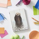 Search for otter ipad cases animal