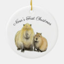 Search for capybara ornaments Wildlife