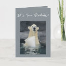 Search for funny bear birthday cards Animal