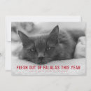 Search for funny sayings christmas cards Sarcastic