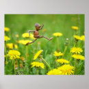 Search for dandelion posters Funny