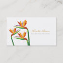 Search for birds business cards Elegant