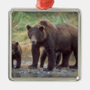 Search for mama bear ornaments Baby