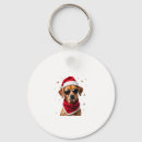 Search for boxer keychains Weimaraner