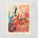 Search for great barrier reef postcards Illustration