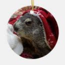 Search for groundhog ornaments Cute