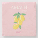 Search for preppy coasters Pastel