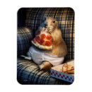 Search for humor adult magnets Cute