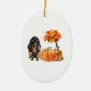 Search for dachshund ornaments Animals