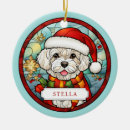Search for bichon frise ornaments First christmas