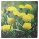 Search for dandelion tiles Green