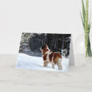 Search for st bernard christmas cards Dogs