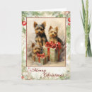 Search for yorkie christmas cards Dog