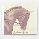 Search for andalusian horse Equestrian