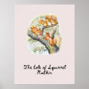 Search for squirrel posters Nature