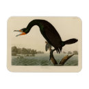Search for florida magnets Illustration