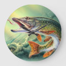 Search for fishing clocks Nature