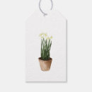 Search for plant gift tags Watercolor