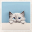 Search for cat coasters Cute