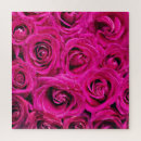 Search for rose puzzles Blooms