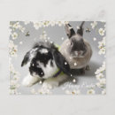 Search for happy easter postcards Bunnies