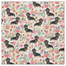 Search for cream dachshund Pet