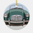 Search for car ornaments Automobile