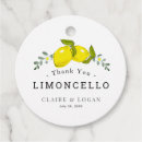 Search for lemon favor tags Limoncello