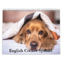 Search for cocker spaniel gifts Dog