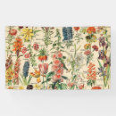 Search for flowers banners Rose